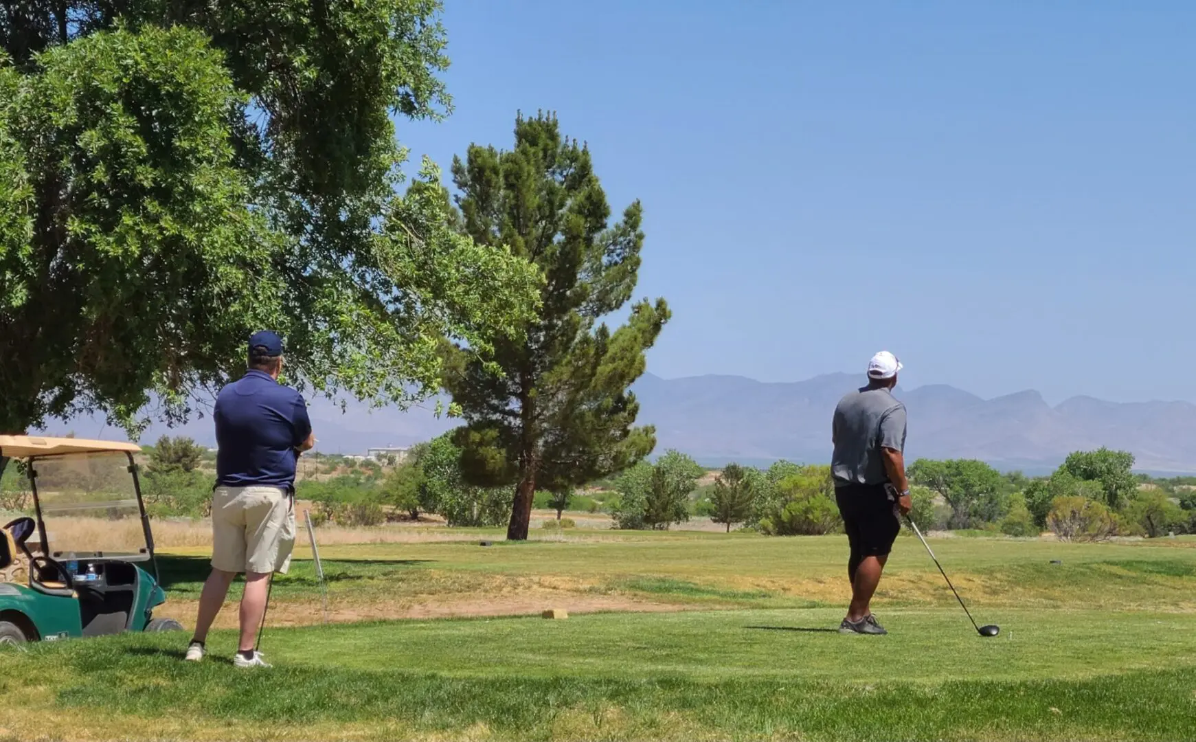 Two men are playing golf on a sunny day.