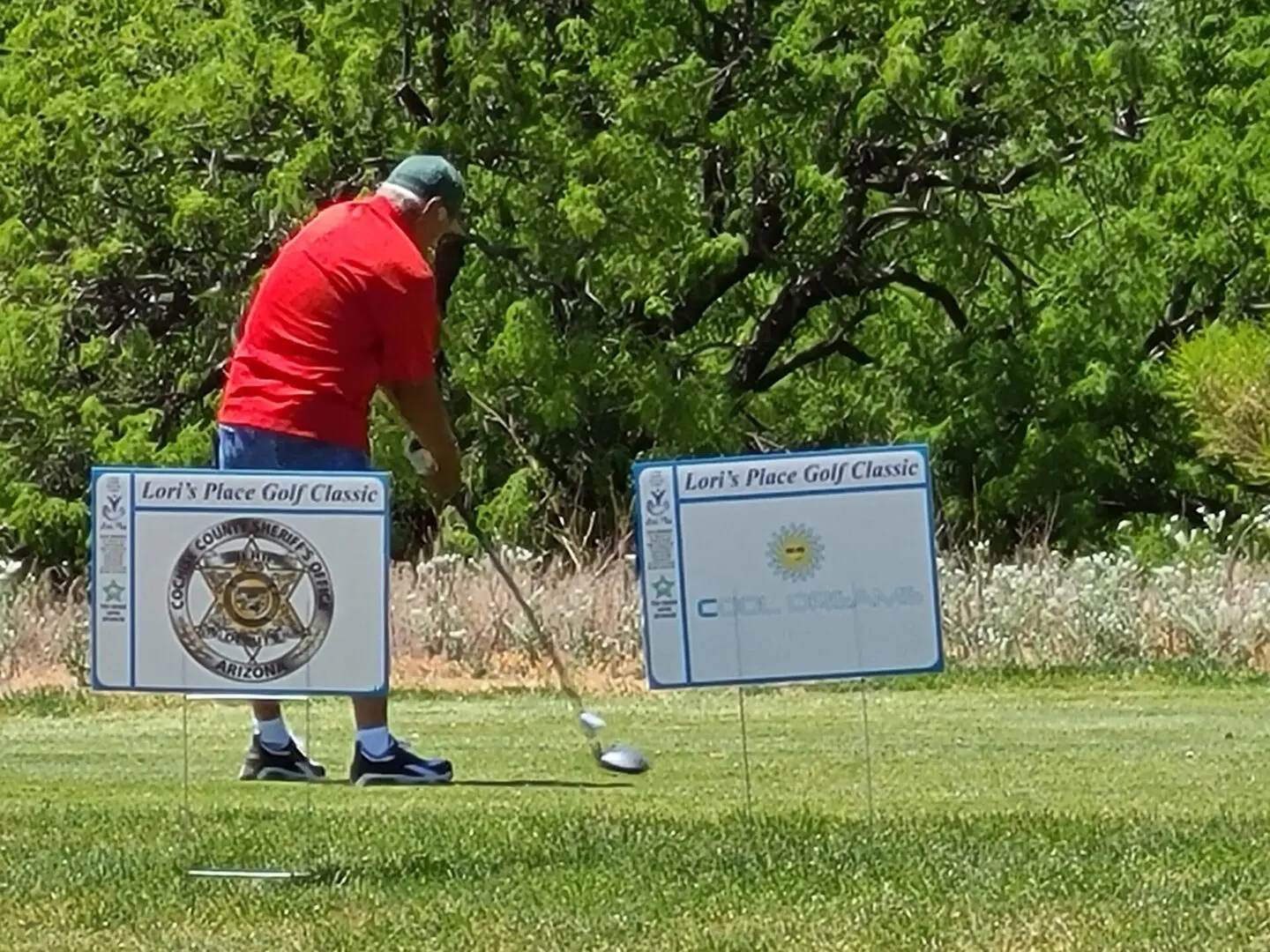 A man playing golf on the green with two signs.