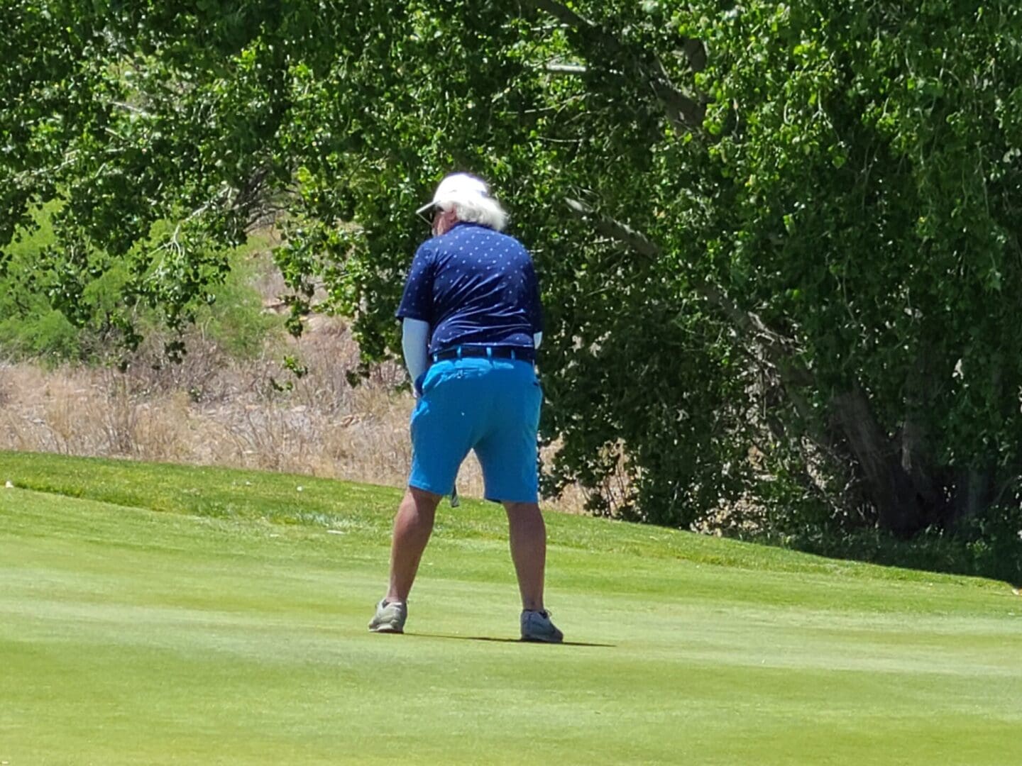 A man in blue shorts and a jacket is playing golf.