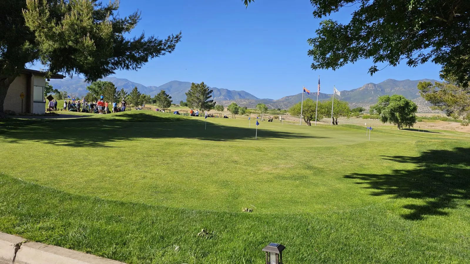 A grassy area with trees and mountains in the background.